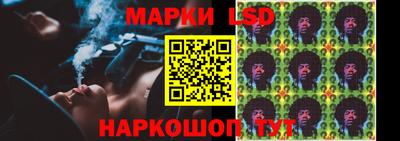 spice Кингисепп