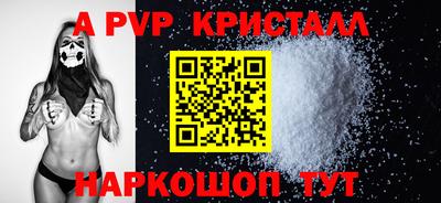 spice Кингисепп