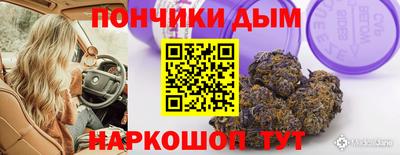 spice Кингисепп