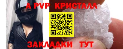 spice Кингисепп