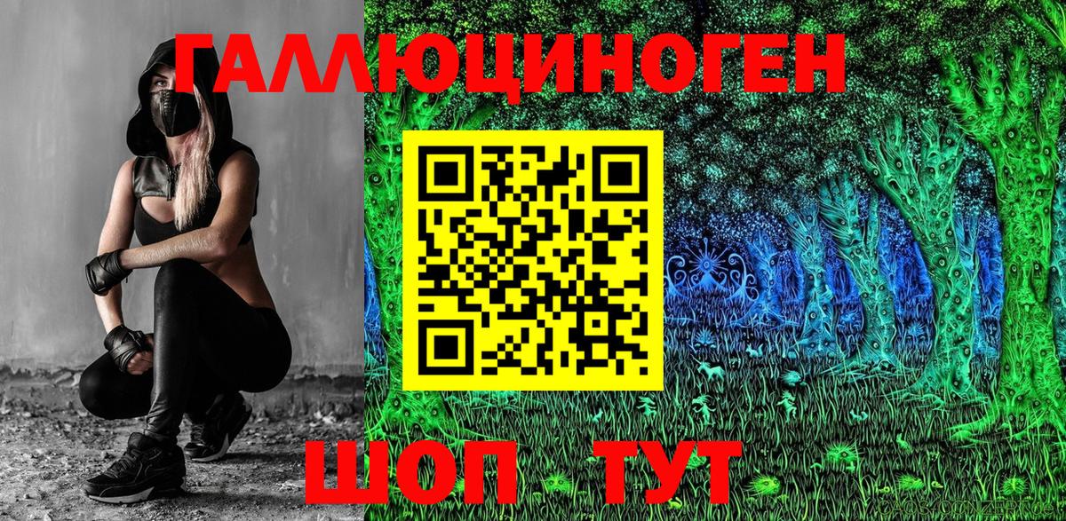Галлюциногенные грибы Psilocybine cubensis Лабытнанги